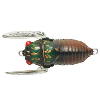 SOFT SHELL CICADA