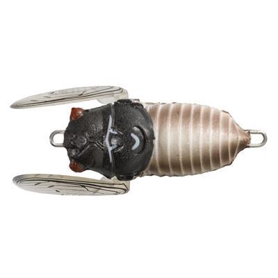 SOFT SHELL CICADA