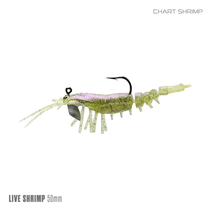 Live Shrimp 50mm 2 Pack