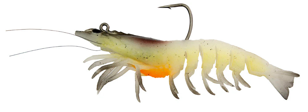 Absolute Shrimp 3.5&quot;