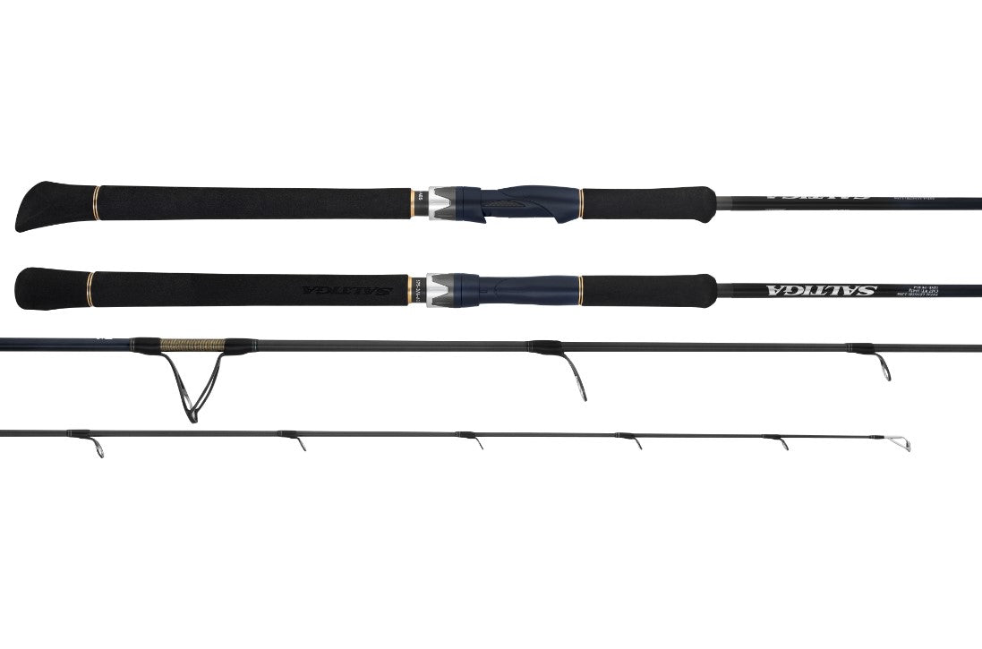 Daiwa 25 Saltiga LC