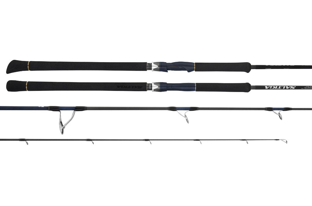 Daiwa 25 Saltiga LC