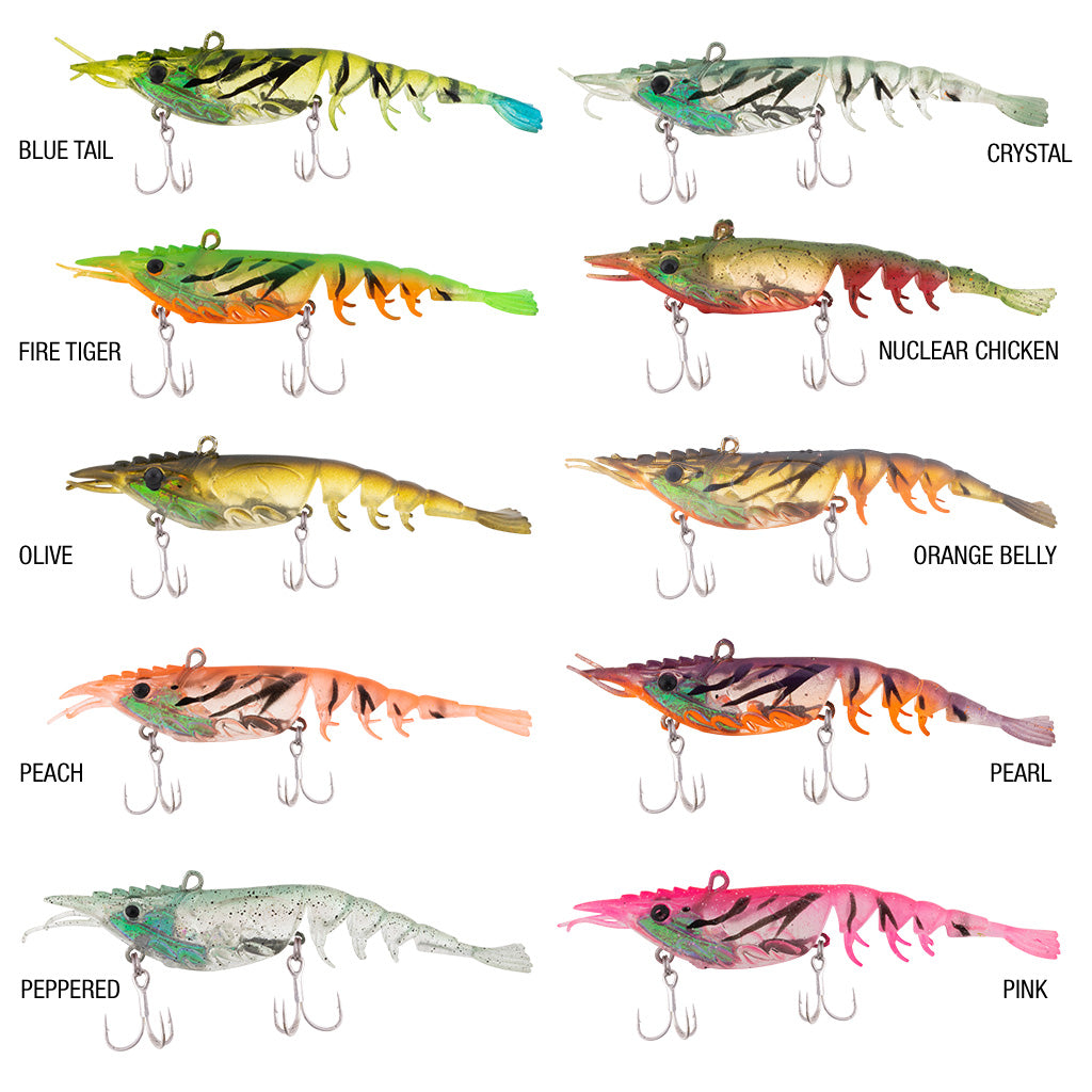 Shimma Shrimp