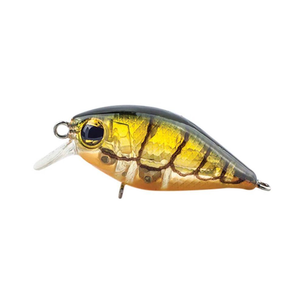 D36 Crank