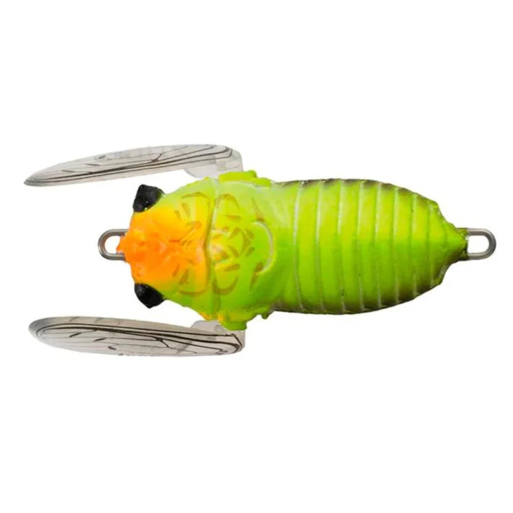 Soft Shell Cicada EVO