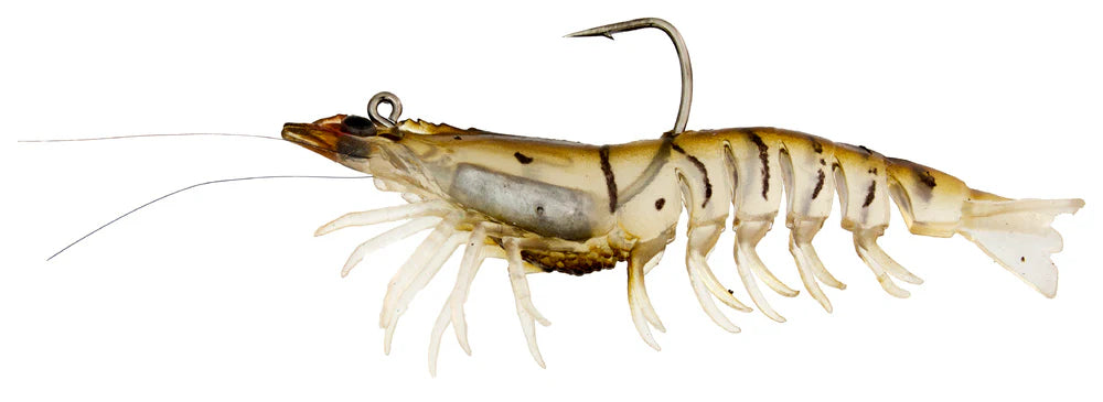 Absolute Shrimp 3.5&quot;