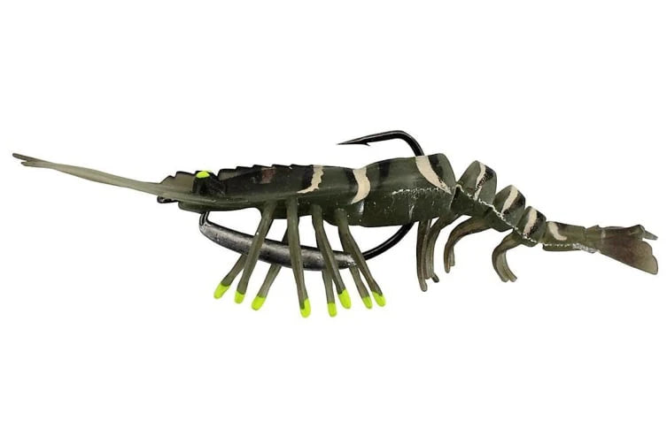 Live Shrimp Hot Legs 3&quot;