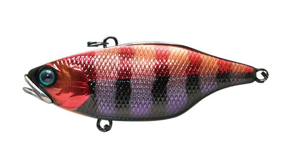 TN60 Lipless Crankbait