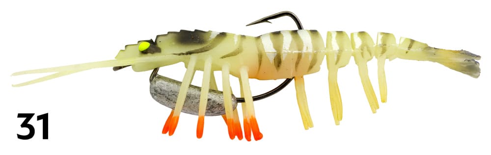 Live Shrimp Hot Legs 3&quot;