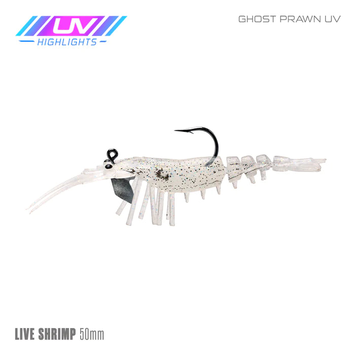 Live Shrimp 50mm 2 Pack