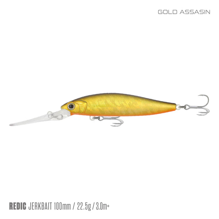 Samaki Redic DS100