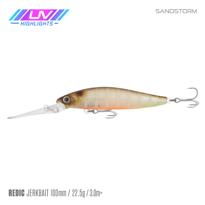 Samaki Redic DS100