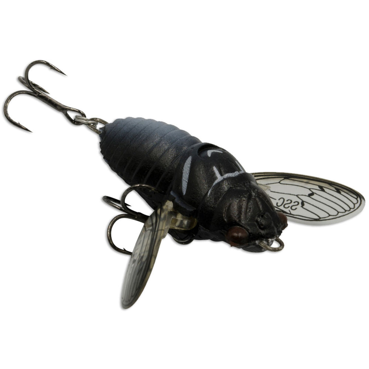 Soft Shell Cicada EVO