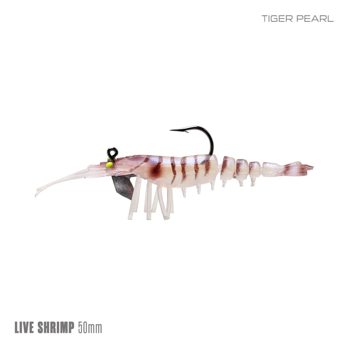 Live Shrimp 50mm 2 Pack