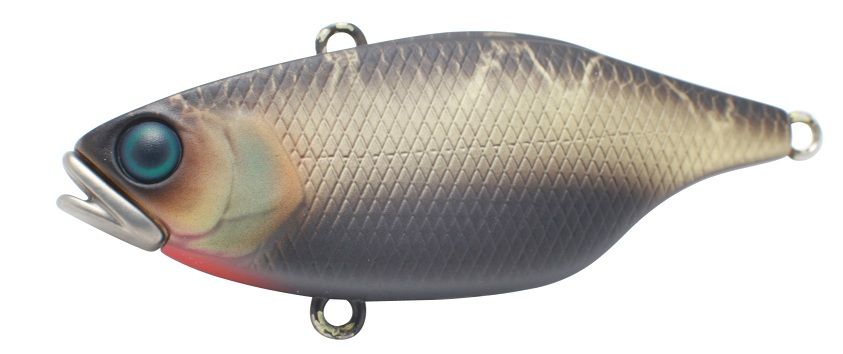 TN60 Lipless Crankbait