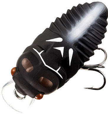 Cicada Wake